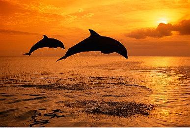 类魂动作《记忆边境》15分钟实机演示 爽快的战斗